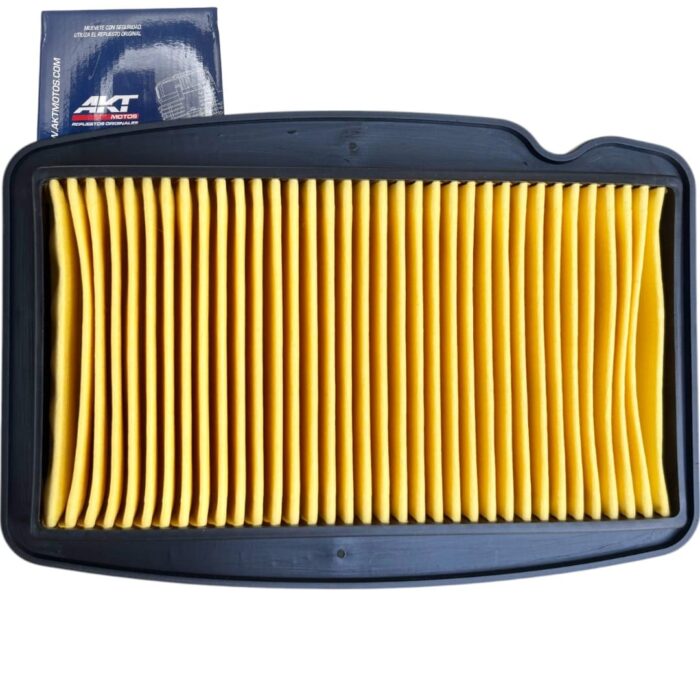 Elemento Filtro Aire R3/Cr5/125-162 Cr4 AKT - Imagen 1